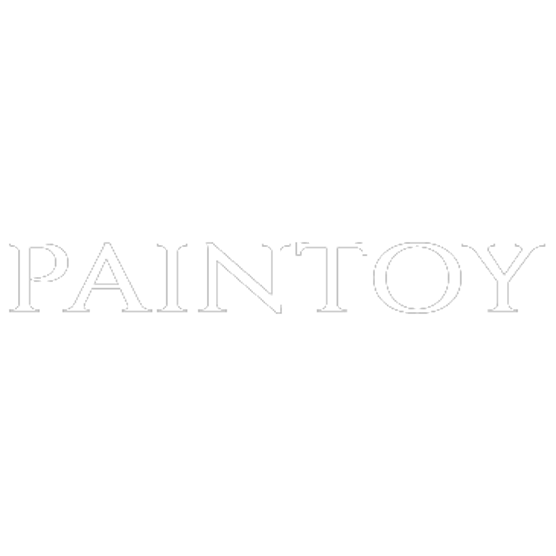 Paintoy
