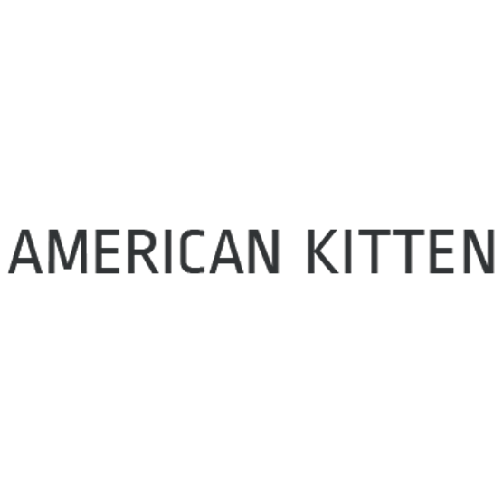 American Kitten